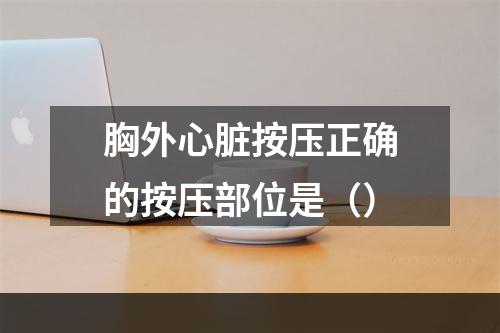 胸外心脏按压正确的按压部位是（）