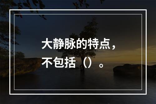 大静脉的特点，不包括（）。