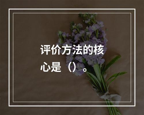 评价方法的核心是（）。