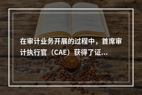 在审计业务开展的过程中，首席审计执行官（CAE）获得了证明本