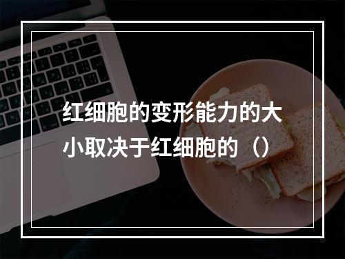 红细胞的变形能力的大小取决于红细胞的（）