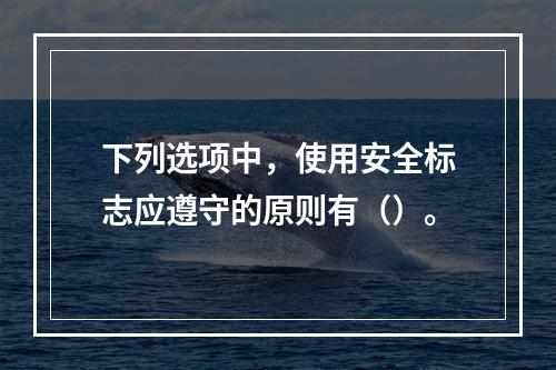 下列选项中，使用安全标志应遵守的原则有（）。