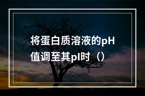 将蛋白质溶液的pH值调至其pI时（）