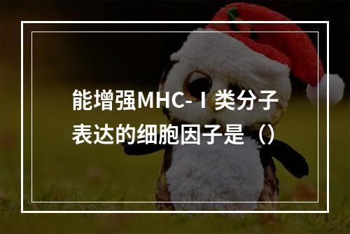 能增强MHC-Ⅰ类分子表达的细胞因子是（）