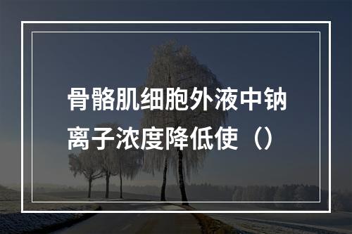 骨骼肌细胞外液中钠离子浓度降低使（）