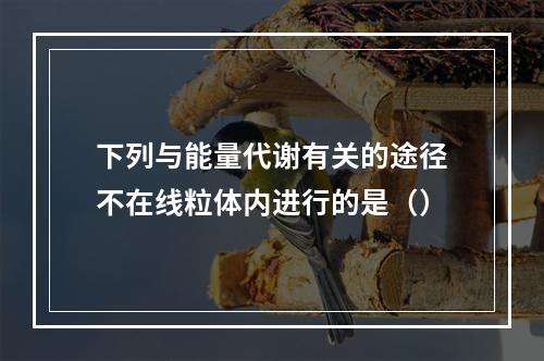 下列与能量代谢有关的途径不在线粒体内进行的是（）