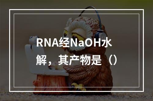 RNA经NaOH水解，其产物是（）