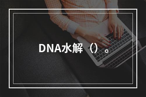 DNA水解（）。