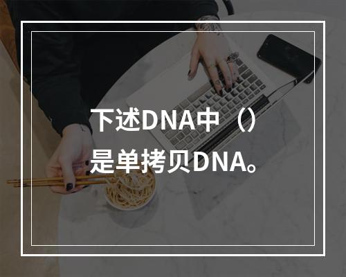 下述DNA中（）是单拷贝DNA。