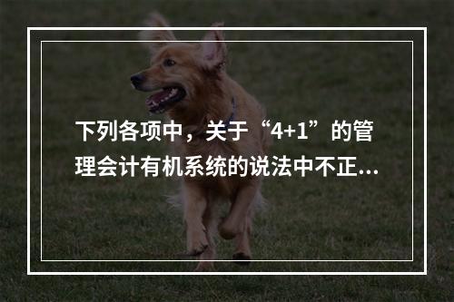 下列各项中，关于“4+1”的管理会计有机系统的说法中不正确的