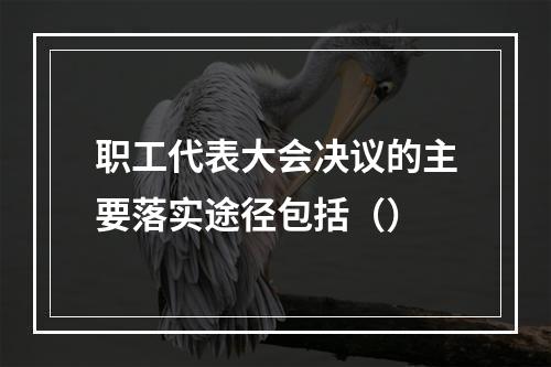 职工代表大会决议的主要落实途径包括（）