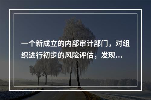 一个新成立的内部审计部门，对组织进行初步的风险评估，发现组织