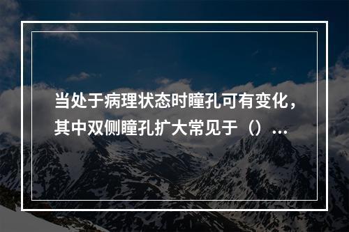 当处于病理状态时瞳孔可有变化，其中双侧瞳孔扩大常见于（）。