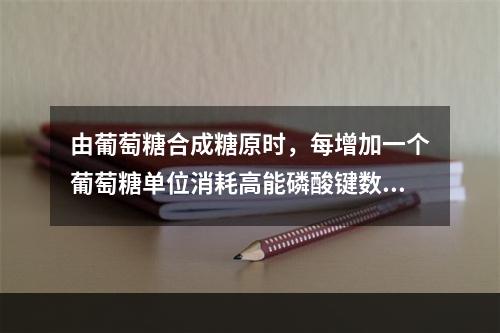 由葡萄糖合成糖原时，每增加一个葡萄糖单位消耗高能磷酸键数为（