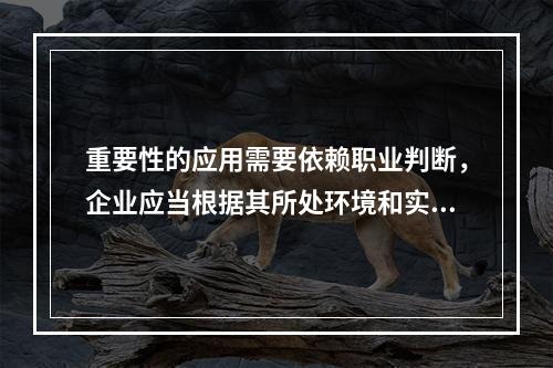 重要性的应用需要依赖职业判断，企业应当根据其所处环境和实际情