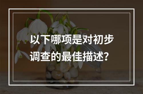 以下哪项是对初步调查的最佳描述？