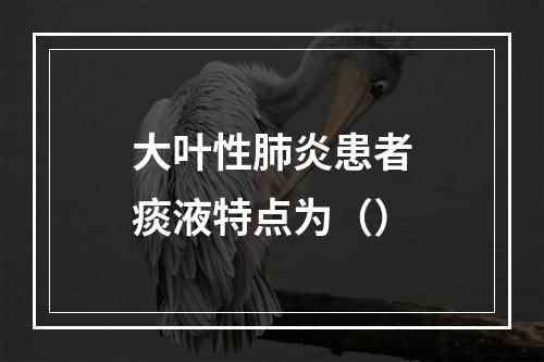 大叶性肺炎患者痰液特点为（）