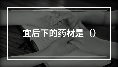 宜后下的药材是（）