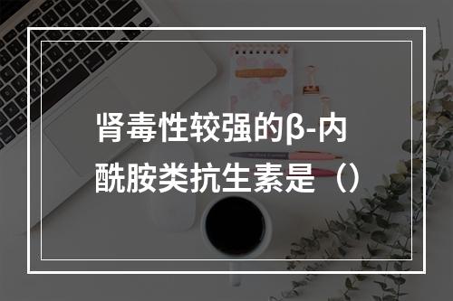 肾毒性较强的β-内酰胺类抗生素是（）