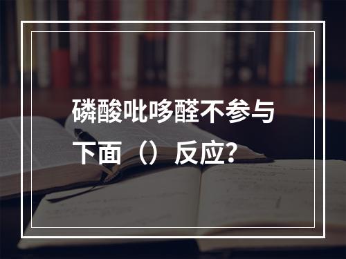 磷酸吡哆醛不参与下面（）反应？