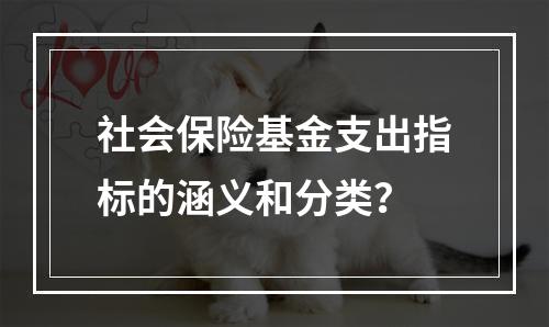 社会保险基金支出指标的涵义和分类？