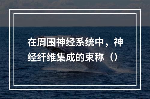 在周围神经系统中，神经纤维集成的束称（）