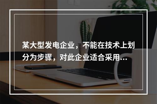 某大型发电企业，不能在技术上划分为步骤，对此企业适合采用的成