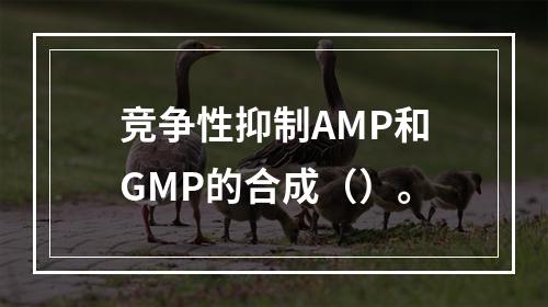 竞争性抑制AMP和GMP的合成（）。