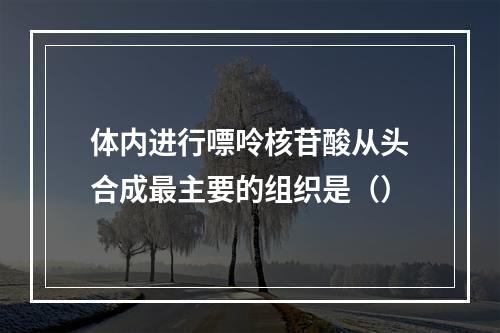 体内进行嘌呤核苷酸从头合成最主要的组织是（）