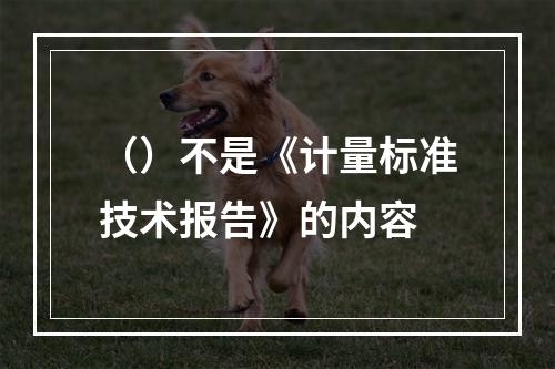 （）不是《计量标准技术报告》的内容