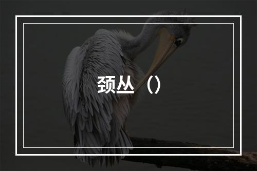 颈丛（）