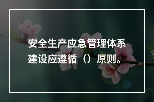 安全生产应急管理体系建设应遵循（）原则。