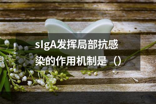 sIgA发挥局部抗感染的作用机制是（）