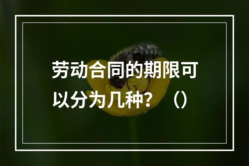 劳动合同的期限可以分为几种？（）