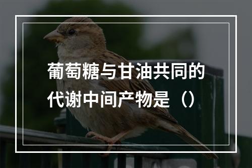 葡萄糖与甘油共同的代谢中间产物是（）