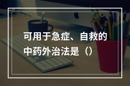 可用于急症、自救的中药外治法是（）