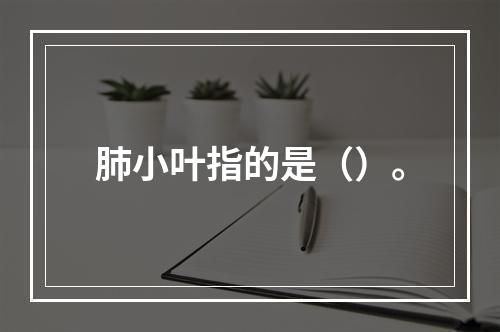 肺小叶指的是（）。