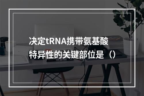 决定tRNA携带氨基酸特异性的关键部位是（）