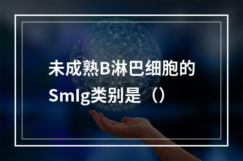 未成熟B淋巴细胞的SmIg类别是（）