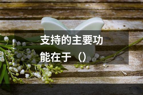 支持的主要功能在于（）