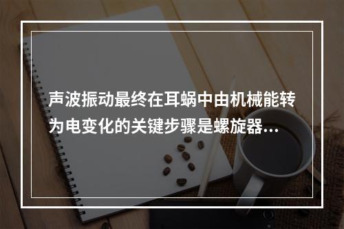 声波振动最终在耳蜗中由机械能转为电变化的关键步骤是螺旋器部位