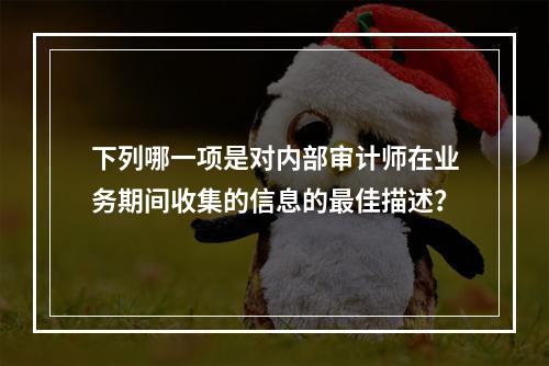 下列哪一项是对内部审计师在业务期间收集的信息的最佳描述？