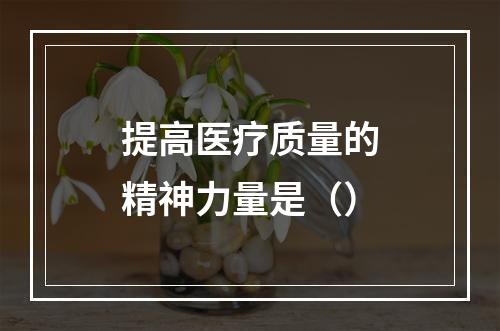 提高医疗质量的精神力量是（）