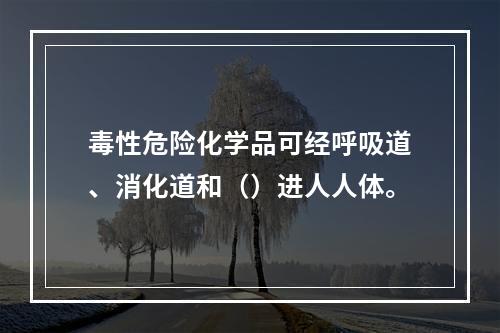 毒性危险化学品可经呼吸道、消化道和（）进人人体。