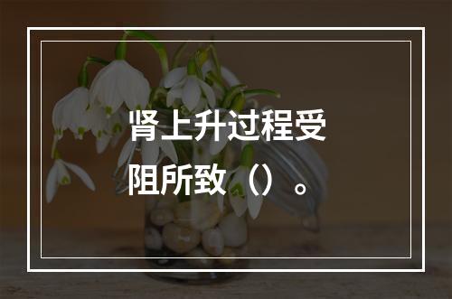 肾上升过程受阻所致（）。