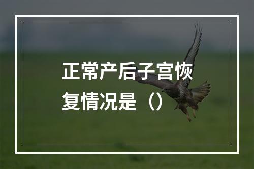 正常产后子宫恢复情况是（）