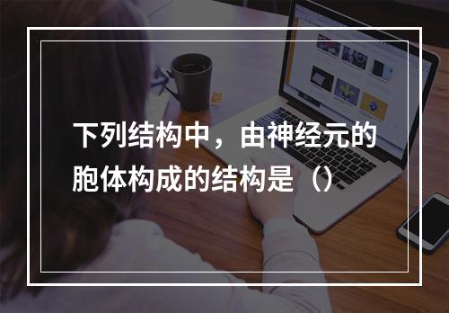 下列结构中，由神经元的胞体构成的结构是（）