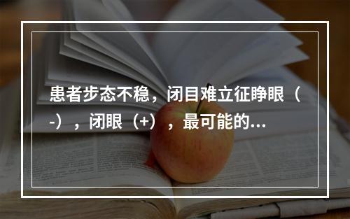 患者步态不稳，闭目难立征睁眼（-），闭眼（+），最可能的病因