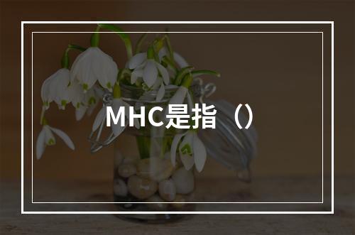 MHC是指（）