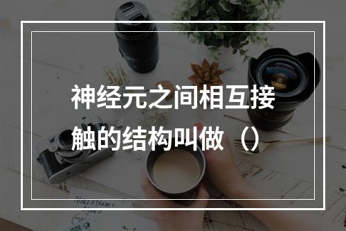 神经元之间相互接触的结构叫做（）